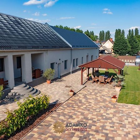 Adamko Borkert Haz Bed & Breakfast Villány Dış mekan fotoğraf