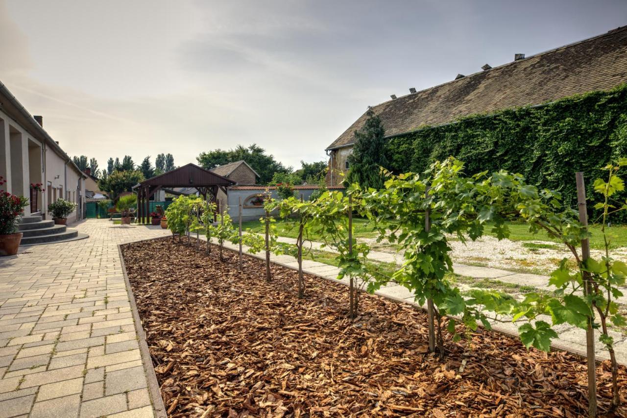 Adamko Borkert Haz Bed & Breakfast Villány Dış mekan fotoğraf